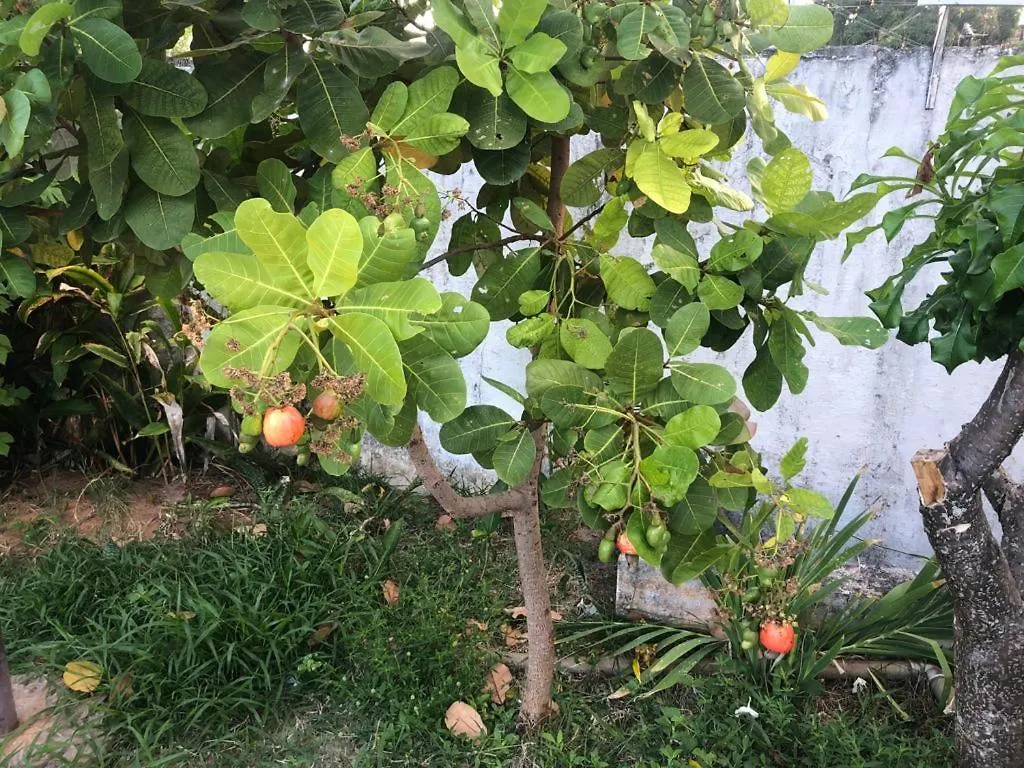 Casa Na Redinha / Natal Rn Villa 0*,  Brazil